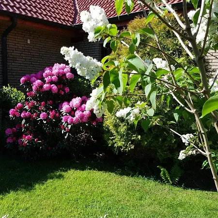 Ferienhaus Sanderbusch بيت للعطل *